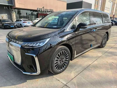 2026 Voyah Auto Voyah Dreamer PHEV Kunpeng Max, фото 1, лот 10358453
