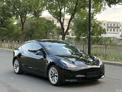 2022 Tesla Model 3 Model Rear-Wheel Drive Version, фото 3, лот 10346529