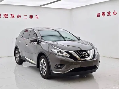 2015 Nissan Murano 2.5L XL 2WD Intelligent Edition, фото 3, лот 10338914
