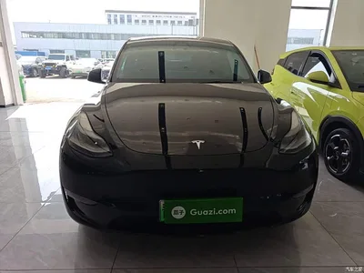 2021 Tesla Model Y Standard Range Rear-Wheel Drive, фото 3, лот 11598239