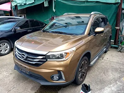2016 GAC Trumpchi Trumpchi GS4 235T G-DCT Elite Edition, фото 1, лот 10680334