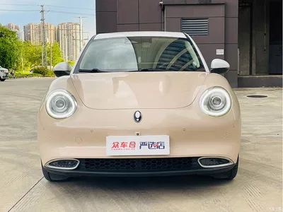 2021 Ora Good Cat 400km Standard Range Athena Edition (LFP), фото 2, лот 10332226