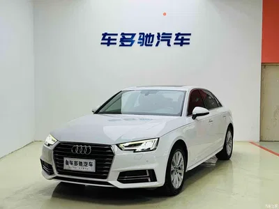 2019 Audi A4L 40 TFSI Progressive (China V), фото 1, лот 10343509