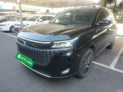 2023 Landian E5 1.5L DE-i 110KM Flagship 5-seater, фото 2, лот 11646087