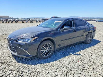 2023 LEXUS ES 300H F SPORT, фото 1, лот 10904472