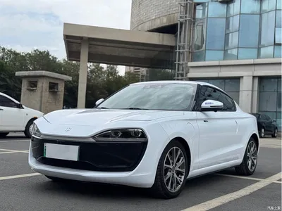 2020 Leapmotor S01 460 Pro, фото 1, лот 10443633