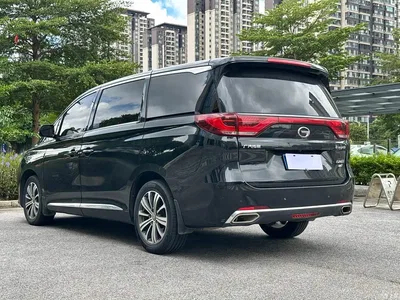 2018 GAC Trumpchi Trumpchi M8 320T Premium Edition, фото 4, лот 10385741