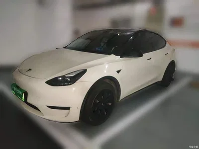 2022 Tesla Model Y Facelift Rear-Wheel Drive Version, фото 1, лот 10370892