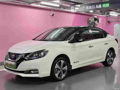 2018 Nissan Sylphy Zero Emission Intelligent Premium Edition, фото 1, лот 10341822