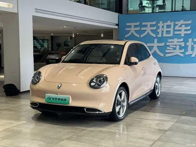 2021 Ora Good Cat 400km Standard Range Venus Edition (LFP), фото 1, лот 10889954