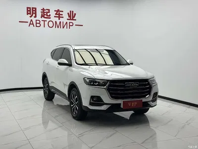 2021 Haval H6 National Trend Edition 1.5T Automatic Urban Edition, фото 3, лот 10297989
