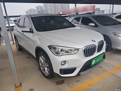 2018 BMW X1 sDrive20Li Leading Model, фото 4, лот 10467780