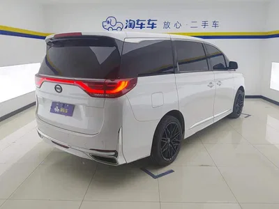 2021 GAC Trumpchi Trumpchi M8 Leading Show Series 390T Premium Edition, фото 3, лот 10391565