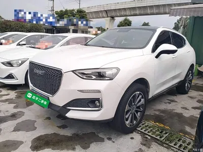 2019 Haval F5 National Trend Edition 1.5T iTrend China VI, фото 1, лот 10285884