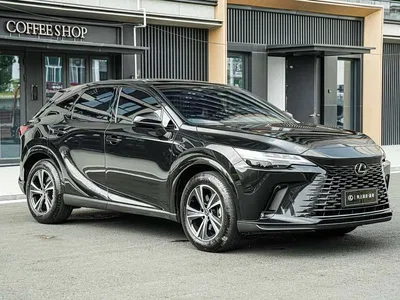 2025 Lexus RX 300 4WD Premium Edition, фото 3, лот 10317667