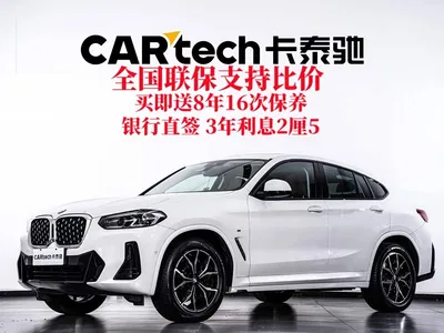 2022 BMW X4 xDrive 25i M Sport Package, фото 2, лот 10429033