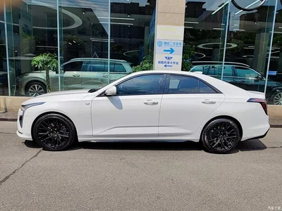 2021 Cadillac CT4 28T Premium Edition, фото 3, лот 10292409