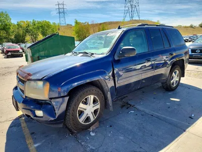 2007 CHEVROLET TRAILBLAZER LS, фото 1, лот 10719027