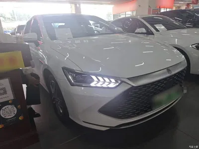 2023 BYD Qin PLUS Champion Edition DM-i 120KM Excellence, фото 4, лот 11582336