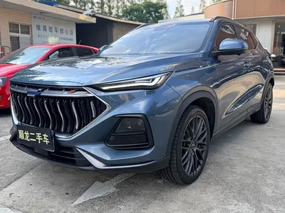 2022 Changan Oshan Changan Oushang X5 1.5T DCT Tiger Roar Limited Edition, фото 1, лот 11151783