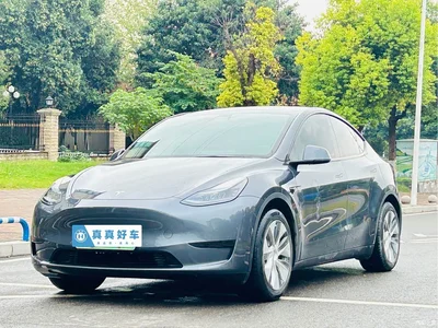 2022 Tesla Model Y Facelift Rear-Wheel Drive Version, фото 1, лот 10672304