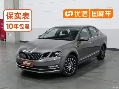 2019 Škoda Octavia TSI230 DSG Zhixing Luxury Edition China VI, фото 1, лот 11255542