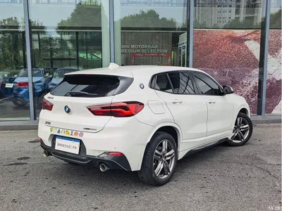 2022 BMW X2 sDrive25i M Sport Package, фото 4, лот 11097952