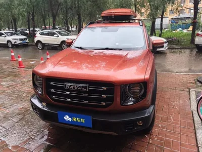 2021 Haval Big Dog 1.5T DCT 2WD Labrador Edition, фото 2, лот 10361735
