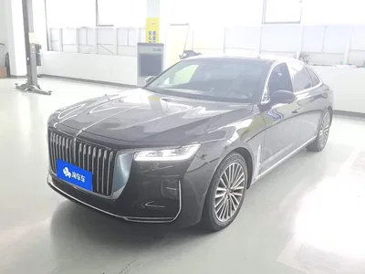2020 Hongqi H9 2.0T Smart Connection Qi Xiang Edition, фото 1, лот 11135064