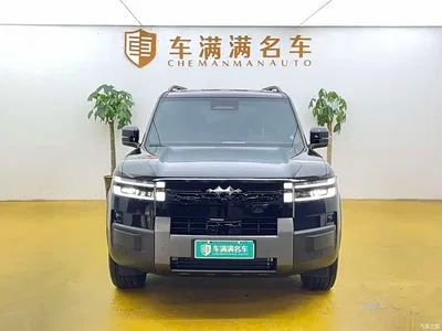 2025 Byd Titanium 7 200KM Front-Wheel Drive Max Edition, фото 2, лот 10830693