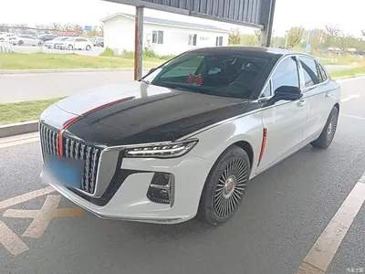 2024 Hongqi H5 2.0T Automatic Smart Connect Flag Smooth Edition, фото 1, лот 10812650