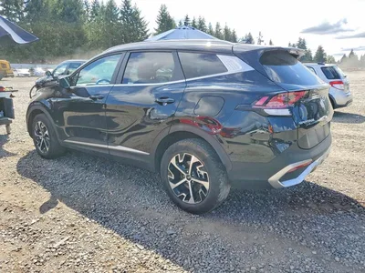 2024 KIA SPORTAGE EX, фото 2, лот 10778592
