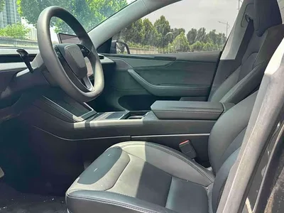 2025 Tesla Model Y Long Range All-Wheel Drive, фото 4, лот 11247693