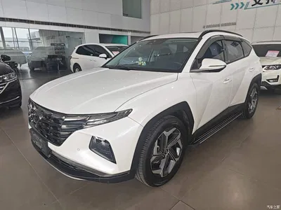 2021 Hyundai Tucson L 1.5T DCT LUX Premium, фото 1, лот 10765120