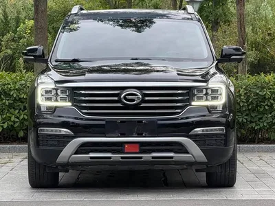 2017 GAC Trumpchi Trumpchi GS8 320T 2WD Luxury Smart Connect (7-seater), фото 2, лот 10392427