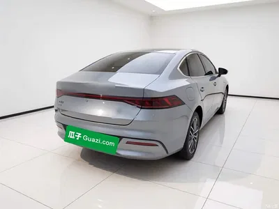 2023 BYD Qin PLUS Champion Edition DM-i 120KM Leading Type, фото 4, лот 10694148