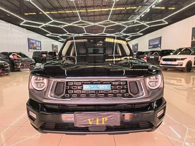 2024 Haval Second-Generation Big Dog New Energy Hi4 102km Trend Electric Plus, фото 2, лот 11170878