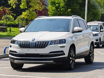 2018 Škoda Karoq TSI280 Luxury Edition China V, фото 1, лот 10348874