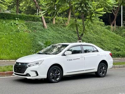 2017 BYD Qin New Energy 1.5T Premium Model, фото 1, лот 10403946
