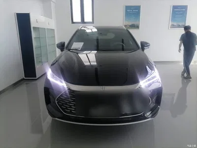 2025 BYD Tang New Energy Smart Driving Edition DM-i 115KM Flagship, фото 3, лот 10272476