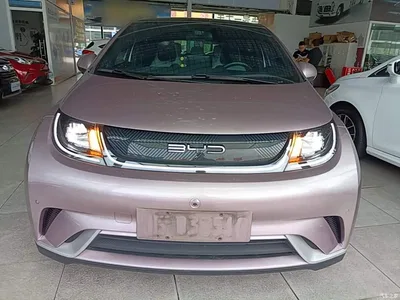 2023 BYD Dolphin 420km Fashion Edition, фото 3, лот 10264173