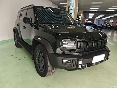 2023 Jetour Traveler Model 2.0T 4WD Cross PRO, фото 4, лот 11136785