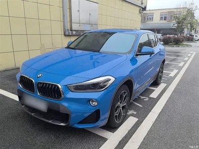 2019 BMW X2 (Import) sDrive20i M Off-Road Package China VI, фото 1, лот 10475612