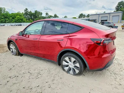 2024 TESLA MODEL Y, фото 2, лот 10851227