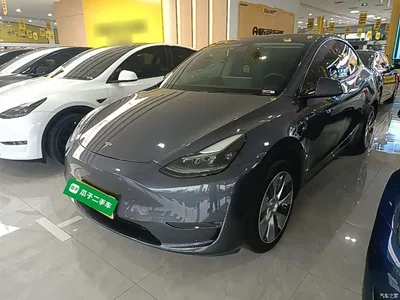 2021 Tesla Model Y Model Long Range AWD, фото 1, лот 10374105