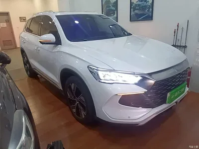 2024 BYD Song Pro New Energy Glory Edition DM-i 110KM Excellence, фото 4, лот 10593258