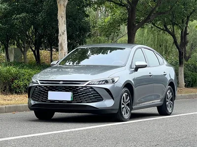 2026 BYD Qin PLUS DM-i Smart Edition 128KM Progressive, фото 1, лот 11081878
