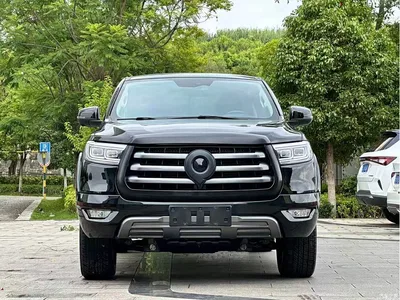 2021 Great Wall Pao 2.0T Passenger Global Edition Automatic Diesel 2WD Comfort Standard Box GW4D20M, фото 2, лот 10245686