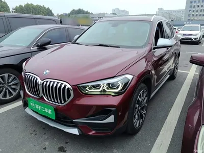 2021 BMW X1 xDrive25Li Exclusive, фото 2, лот 11099081