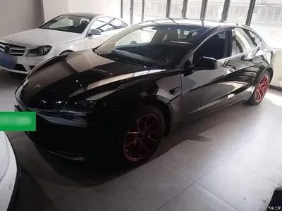 2022 Tesla Model 3 Model Rear-Wheel Drive Version, фото 1, лот 10616638